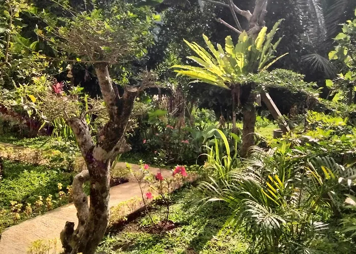 Buntera Homestay Sidemen