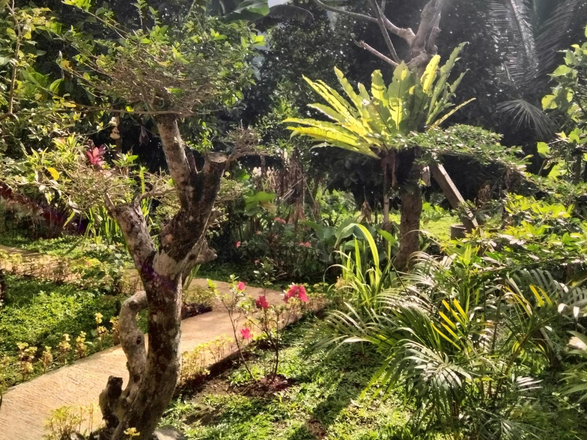 Accommodatie bij particulieren Buntera Sidemen (Bali)