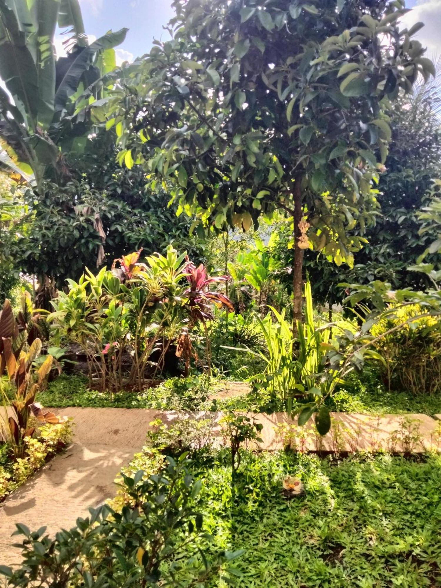 Buntera Sidemen (Bali)