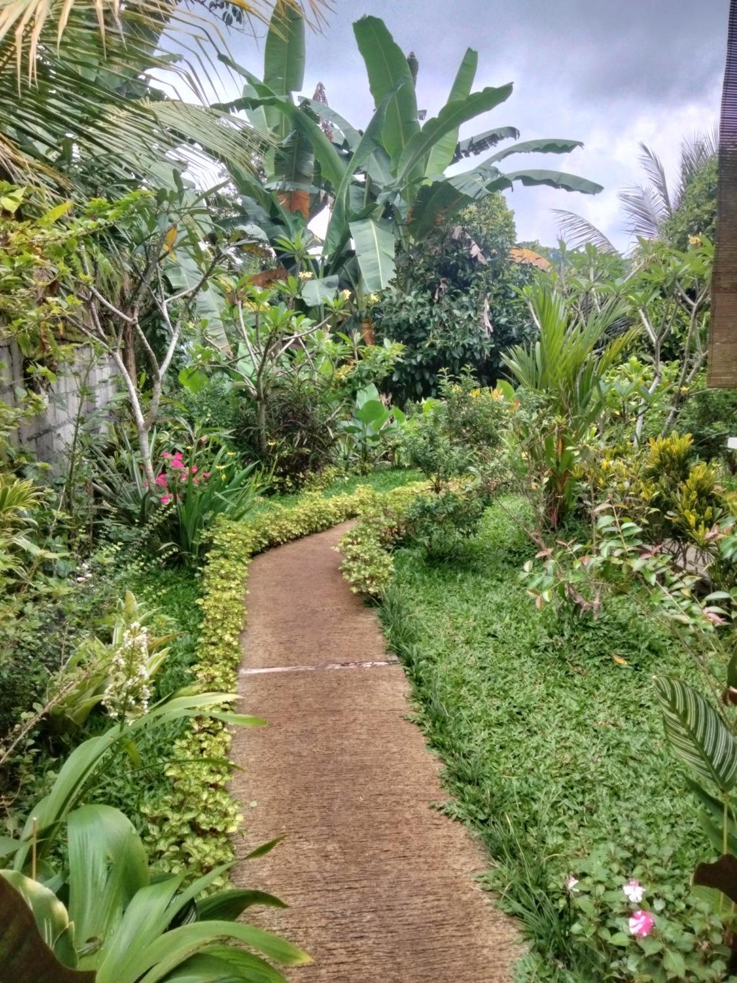 Buntera Accommodatie bij particulieren Sidemen (Bali)